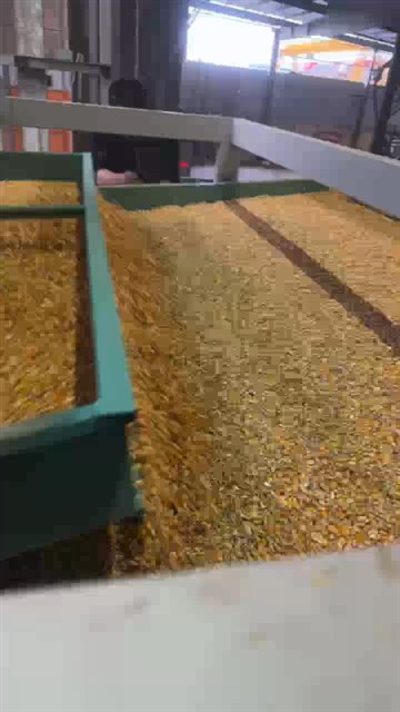 玉米原粮在振动筛面上筛分